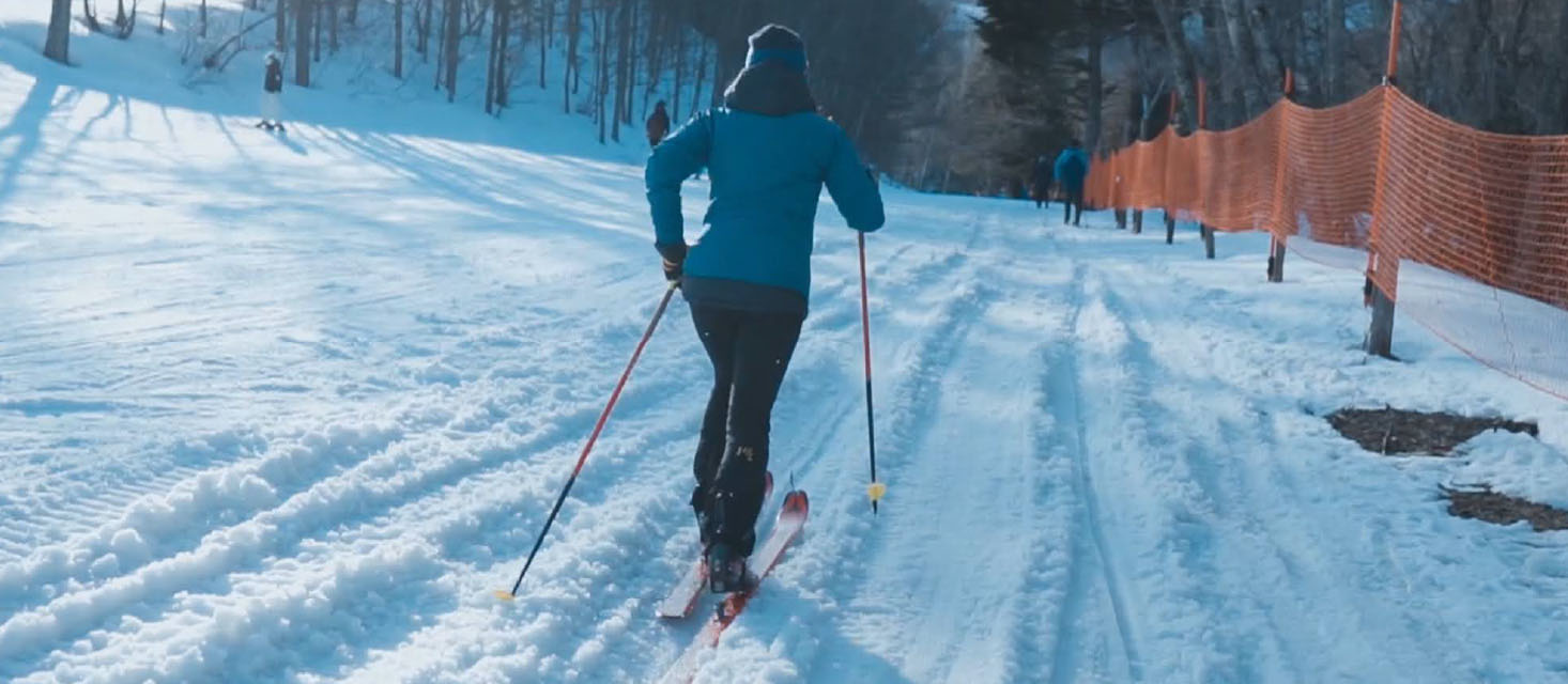 スカイランニング競技に関する主催、後援