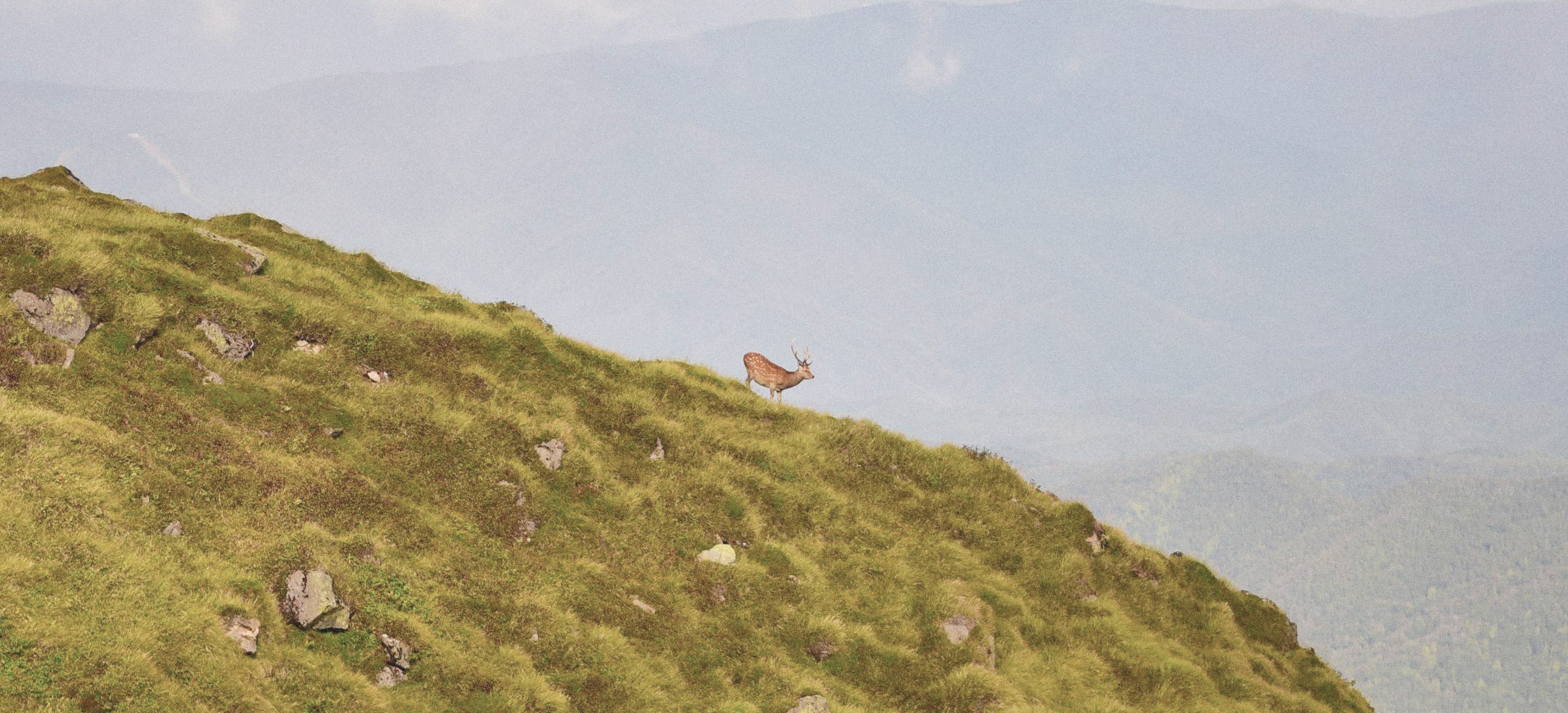 Nature's Gift,Our Commitment.