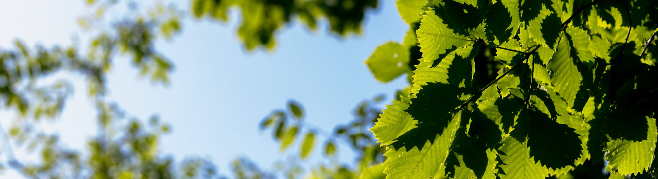 Nature's Gift,Our Commitment.